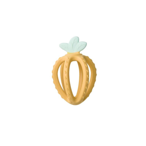 Saro Mordedor Fresh Fruit