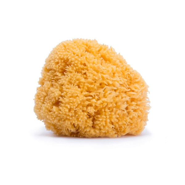 Suavinex Esponja Natural Grande +0M