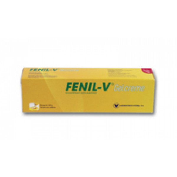 FENIL-V Gelcreme 10 mg/g gel -100g